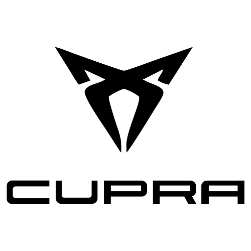 AutoSock está reconocido y aprobado según los estándares internos de Cupra