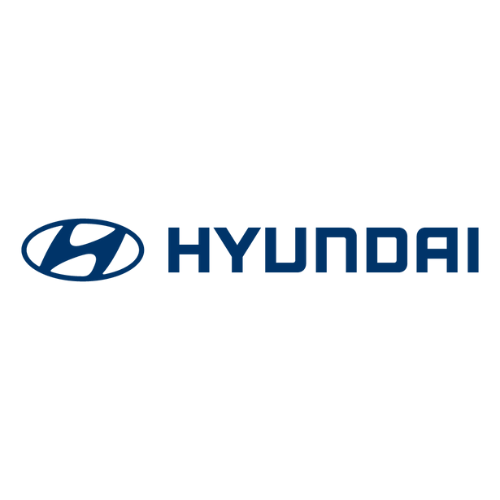 AutoSock está reconocido y aprobado según los estándares internos de Hyundai